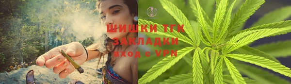 индика Корсаков