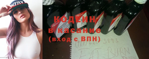 индика Корсаков