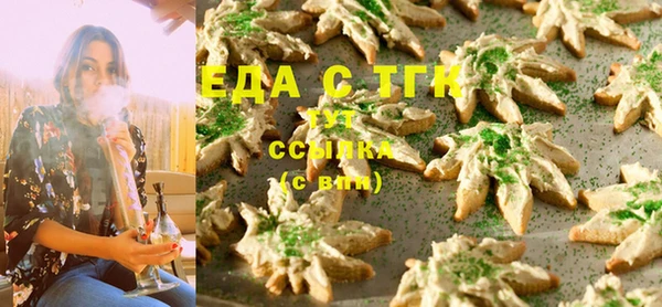 индика Корсаков