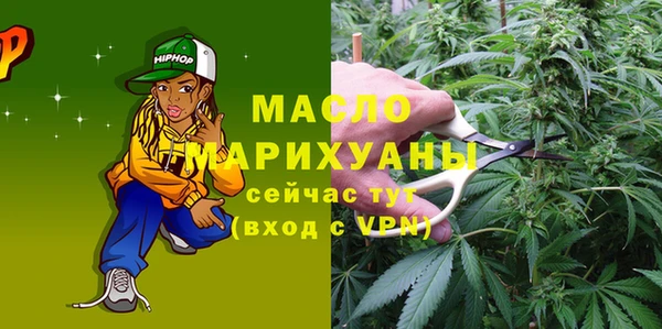 индика Корсаков