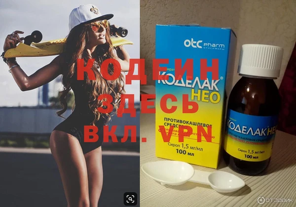 индика Корсаков