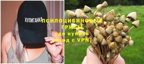 МДПВ Коряжма