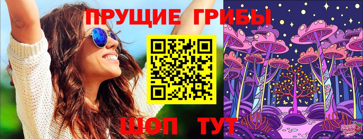 Михайловка  где найти   Вход с VPN  Псилоцибиновые грибы MAGIC MUSHROOMS 