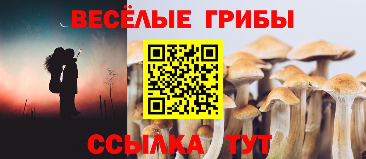 Галлюциногенные грибы ЛСД Михайловка